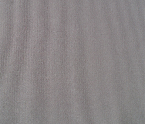 Tencel/Spandex Single Jersey