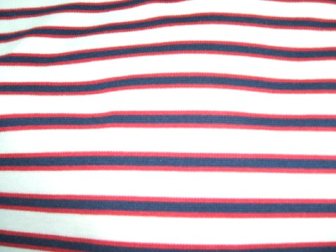Stripe Roma Fabric